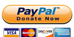 paypal